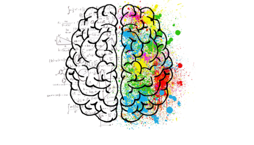 کتابچه الکترونیکی اسرارفروش | مردم چرا خرید می‌کنند؟ و چیکارکنیم که از ما خرید کنند؟